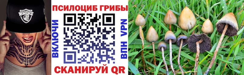 Псилоцибиновые грибы Psilocybe Энем